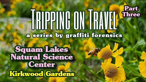 Tripping on Travel: Squam Lakes Natural Science Center, pt 3