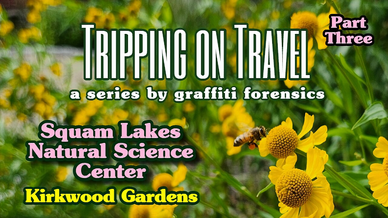 Tripping on Travel: Squam Lakes Natural Science Center, pt 3