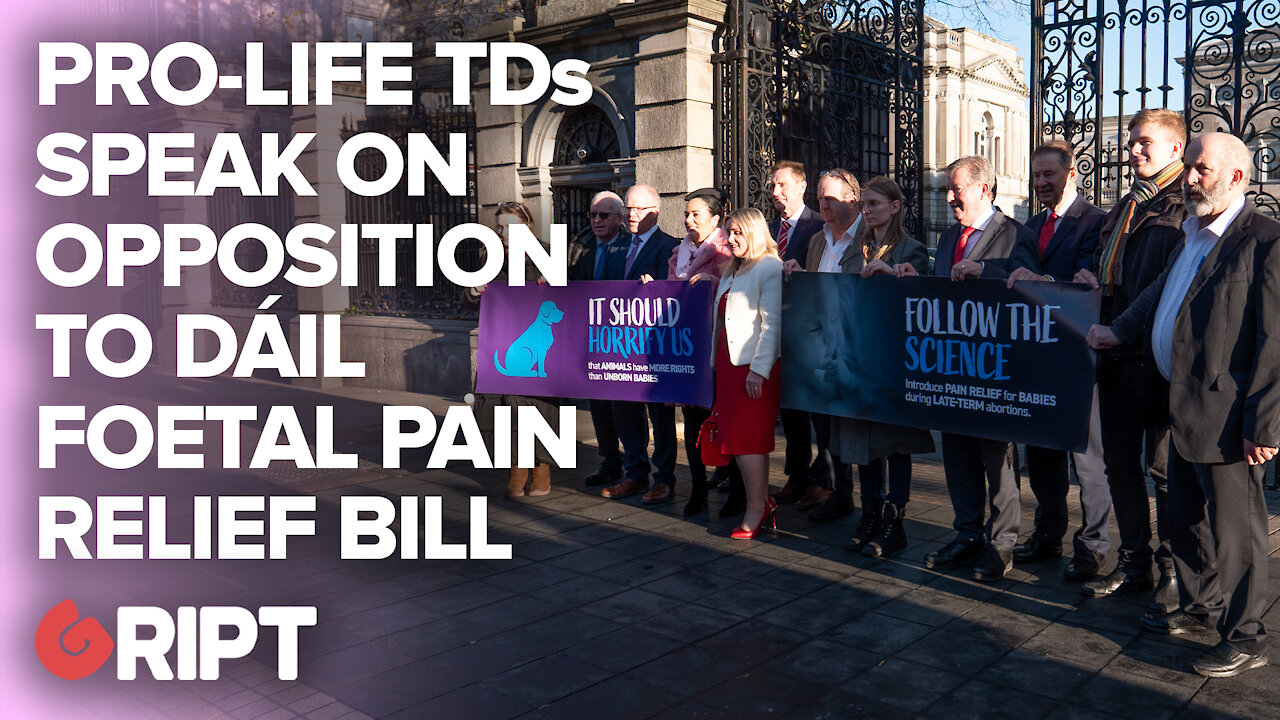 "You wouldn't do it to a dog": Pro-life TDs push for foetal pain relief