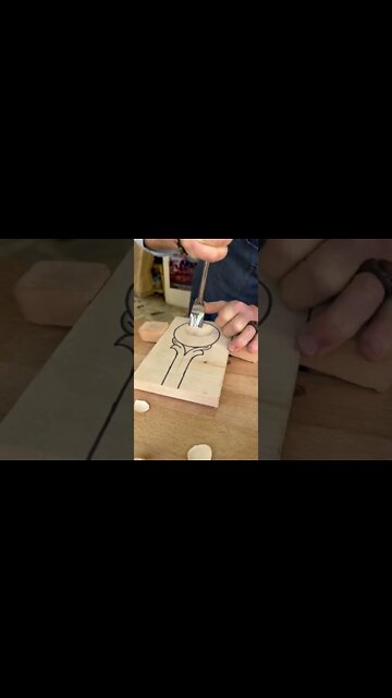 funny|prank|jokes|funny jokes|dad jokes|funny memes|funny video|fun|laughing|funny animal|knock