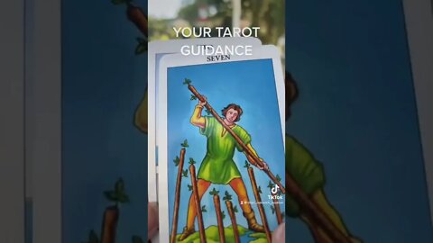 YOUR TAROT GUIDANCE MESSAGE #tarot #message #success #guidance #nature #spirituality