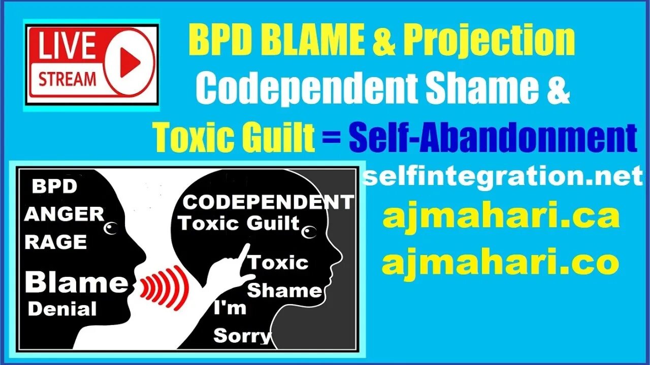 Borderlines Projective Blame - Codependents False Self - Toxic Shame & Guilt - False Responsibility