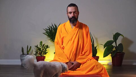 Finding Inner Peace: Meditating with Man's Best Friend 🐶🧘‍♂️