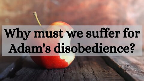 Why must we suffer for Adam's disobedience?