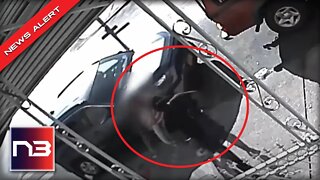 THIS VIDEO Shows What Is Wrong With Liberal Hell Holes In Broad Daylight