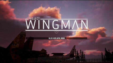 Project Wingman VR is insane