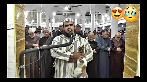 A cat jumps on the imam's shoulder during prayer | watch his reaction