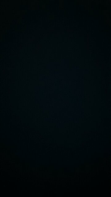 Views of the Verrazano bridge