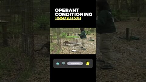 Operant Conditioning~part 6 of 15