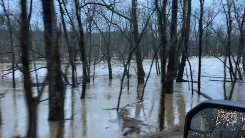 Elkhorn Creek at 11 Feet