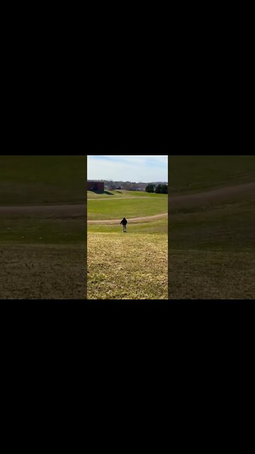Longboarding down a hill
