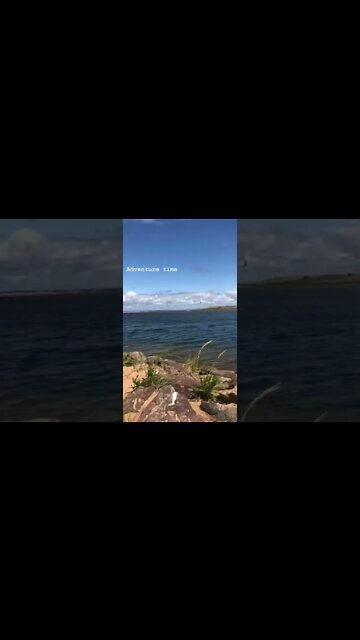 Going exploring at the beach