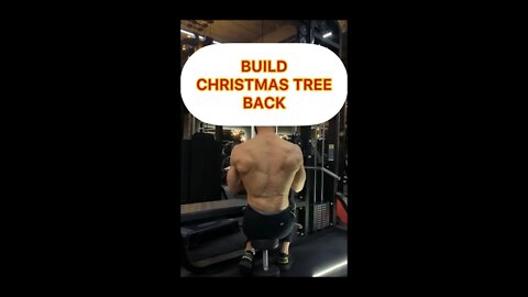 Christmas Tree Back #shorts #chrsitmastreeback #back
