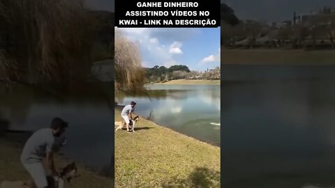 A CAPIVARA IA ATACAR O CACHORRO 😱😱😱