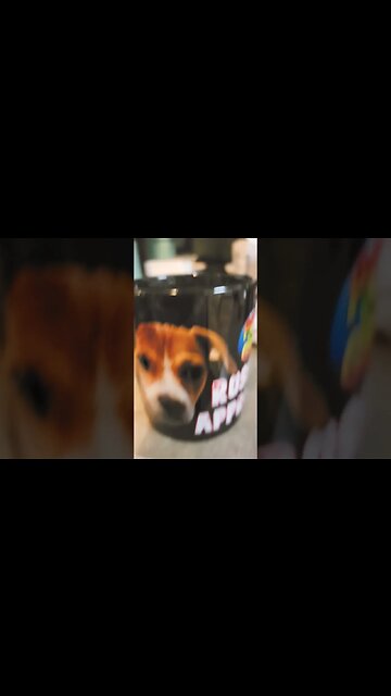 PUPPY MUGGIN. #puppy #puppylove