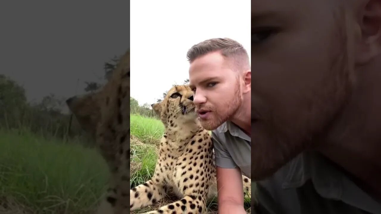 isso que é respeito 😲😲😲