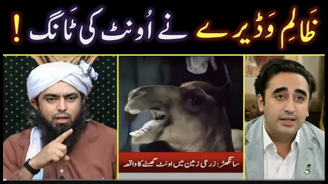 Sanghar Camel Incident! Zalim Wadairay nay Oont ki Tang kat di! Engineer Muhammad Ali Mirza