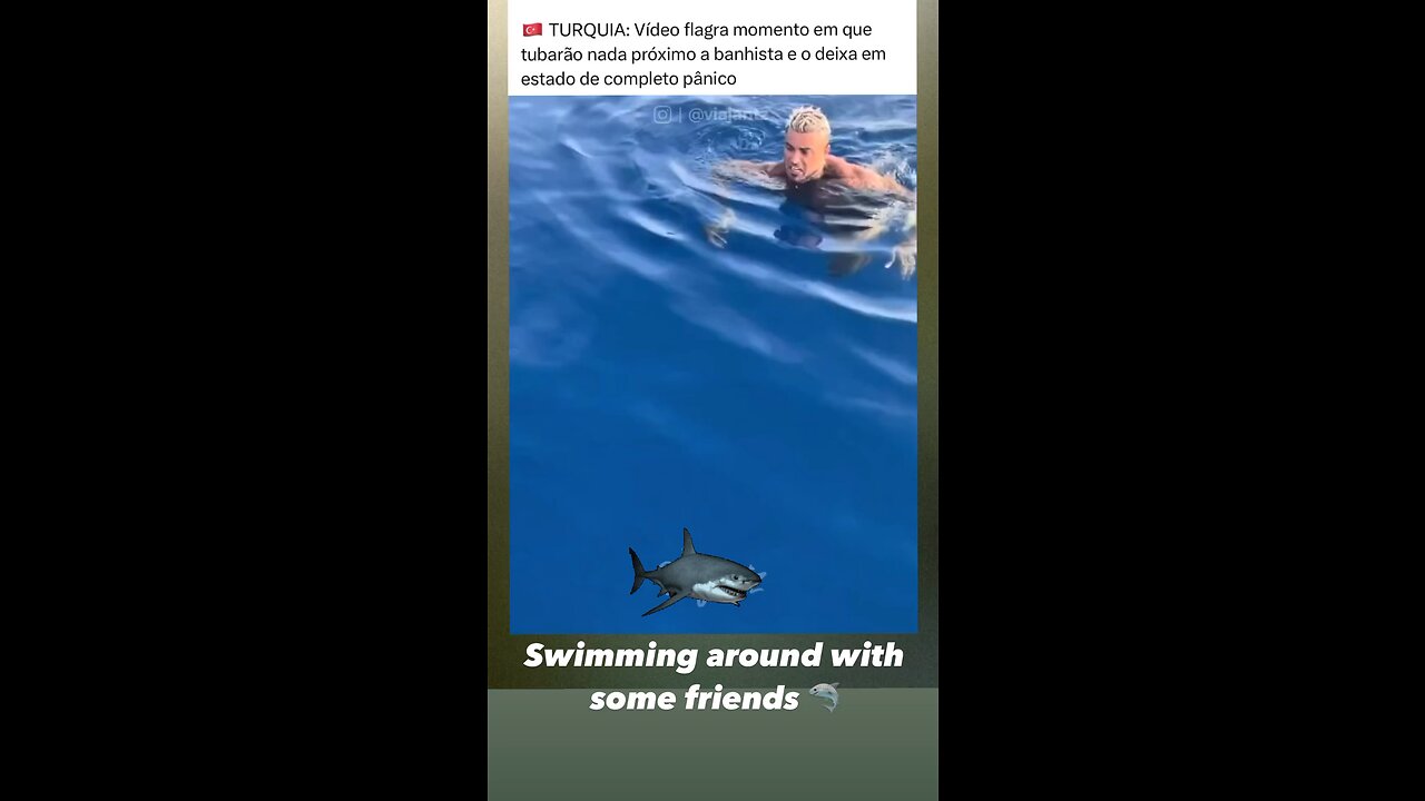 Nadando com os tubarões