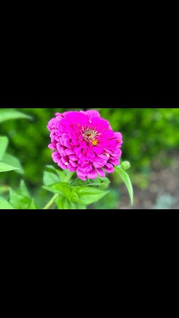 Presence Heals all Wounds