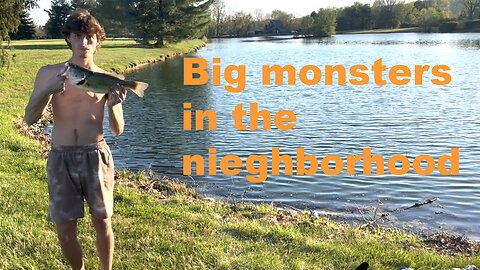 Monster bass and where to find them.
