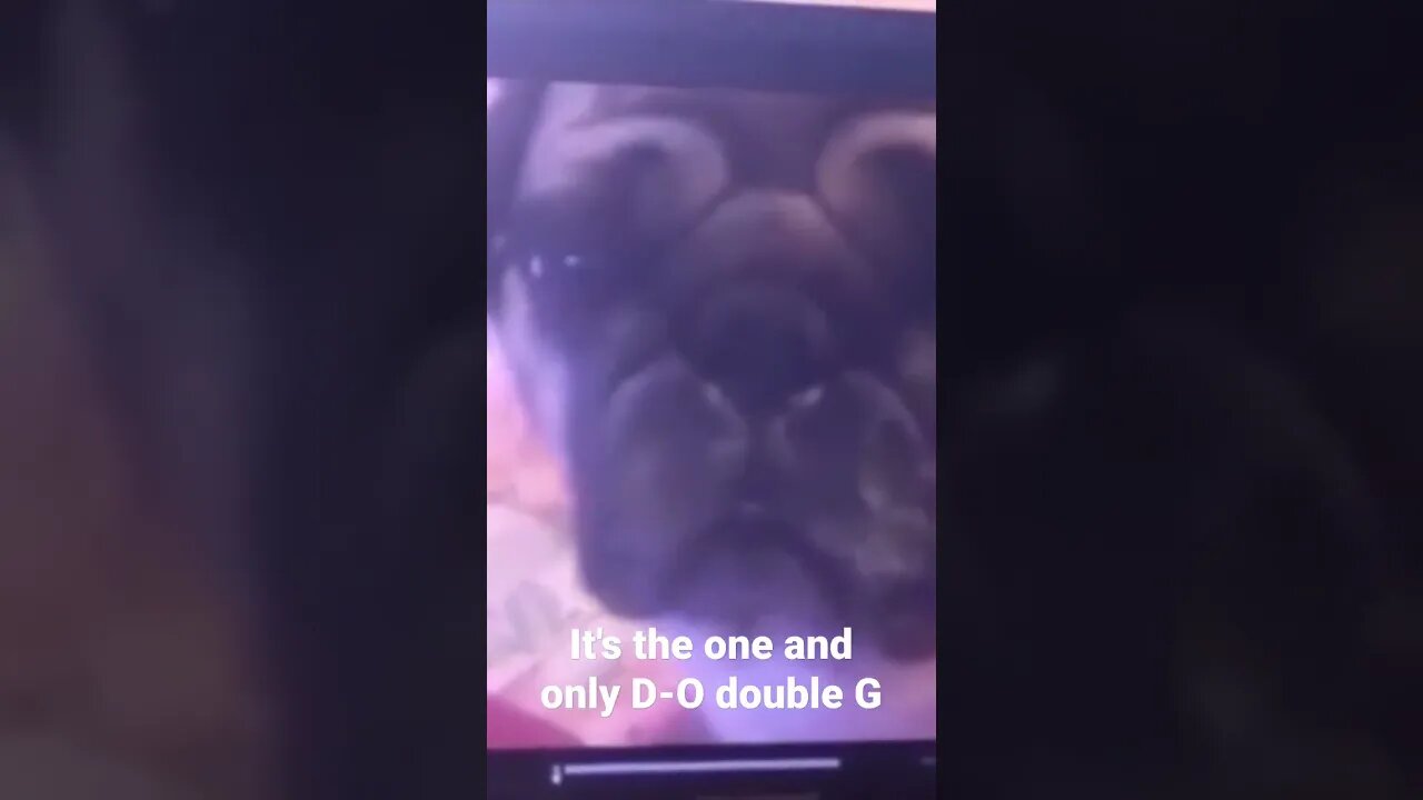 #shorts It's the one and only D-O double G