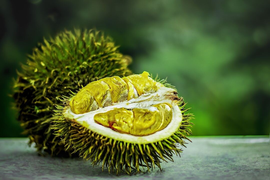 The King of Fruit (Durian)