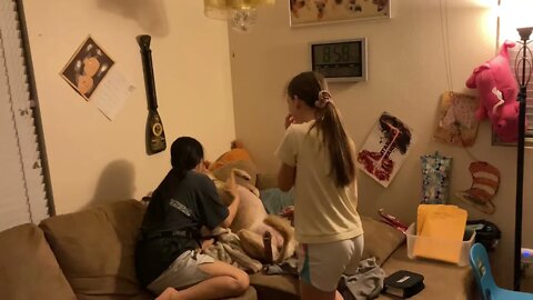 Just a little bit of good old family fun