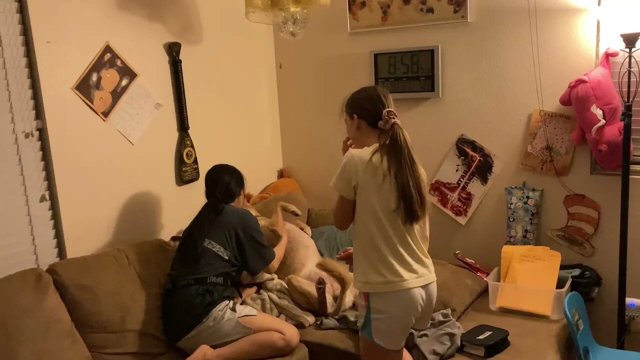 Just a little bit of good old family fun