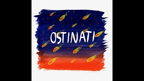 SI Ostinano a non capire
