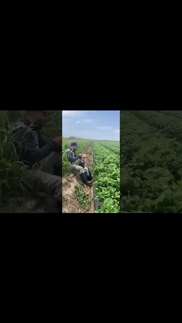 #shorts #2022 funny,prank,funjokes,dad jokes,funny memes,funny video,fun,laughing,funny animal,knock