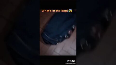 what's in the bag ? OMG WTF (horror)