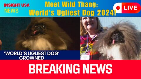 Meet Wild Thang: World's Ugliest Dog 2024!