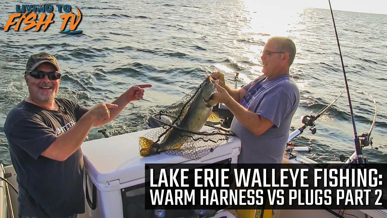 Lake Erie Walleye Fishing - Warm Harness vs Plugs Part 2