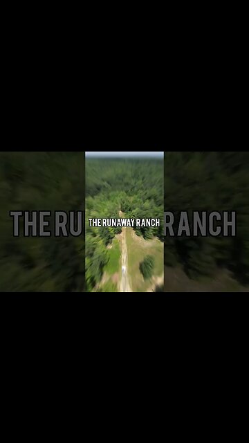 Welcome to the Runaway Ranch 🚜🐓🌳🌲 #homestead #homesteading #rawland #ranch #offgridliving