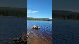 Grizzly Lake main recreational site #camping #explore #britishcolumbia #canada