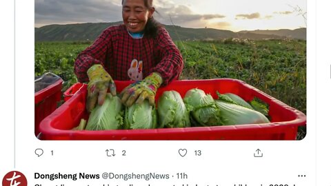 中國文盲佔總人口的2.67%，超過3000萬人