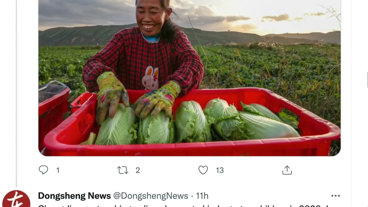 中國文盲佔總人口的2.67%，超過3000萬人