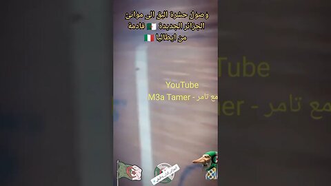 جمهورية بردعستان 🇩🇿 تستورد البق من ايطاليا 🤣🤣🤣