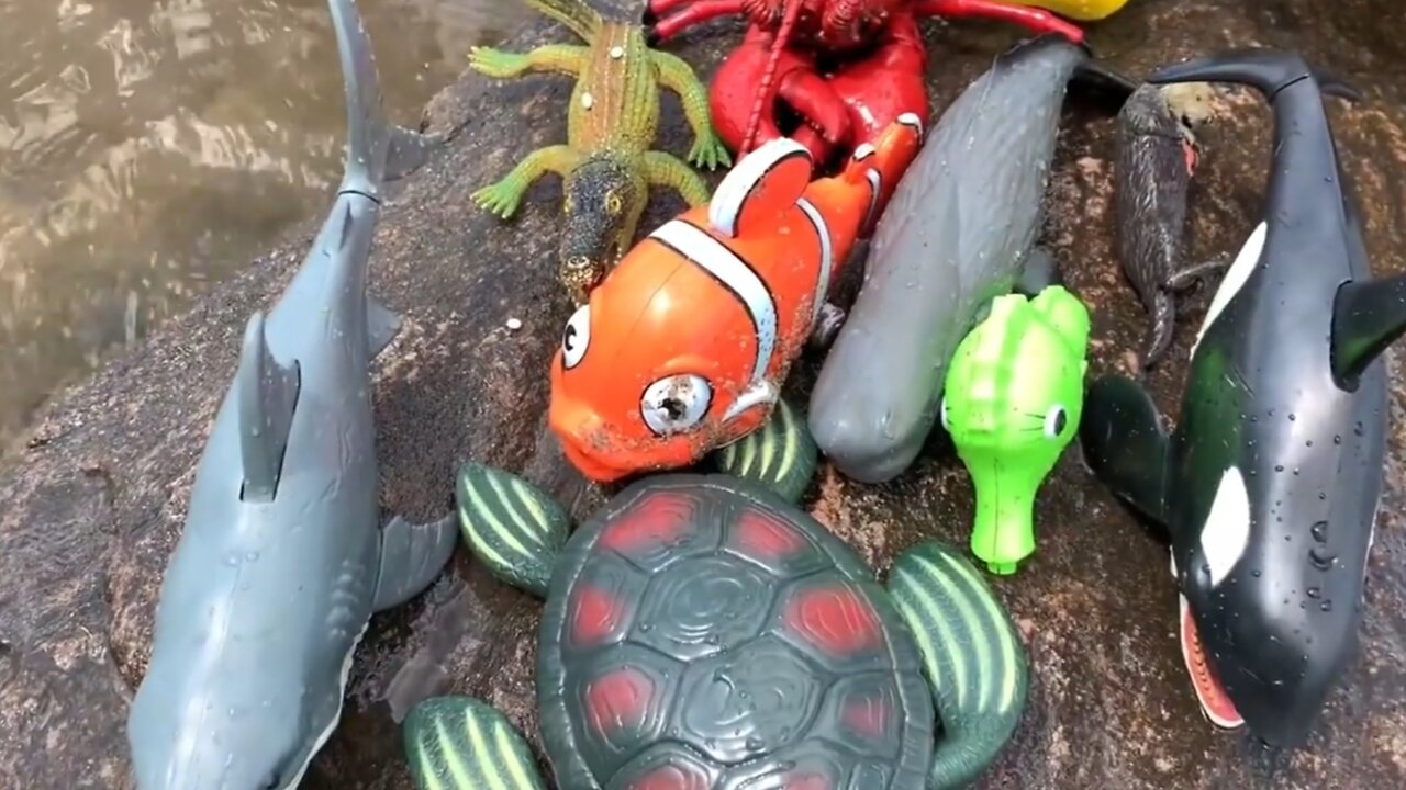 sea animal toys this summer at the shore