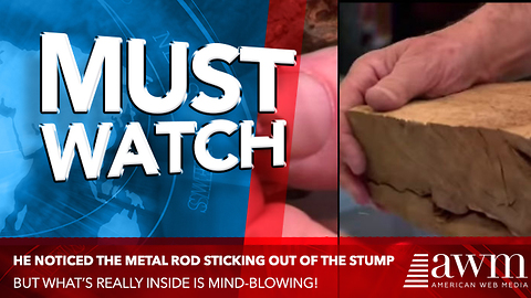 He Spots Metal Rod Sticking Out Of Wood Stump. Splits It Open, Leads To Unprecedented Find