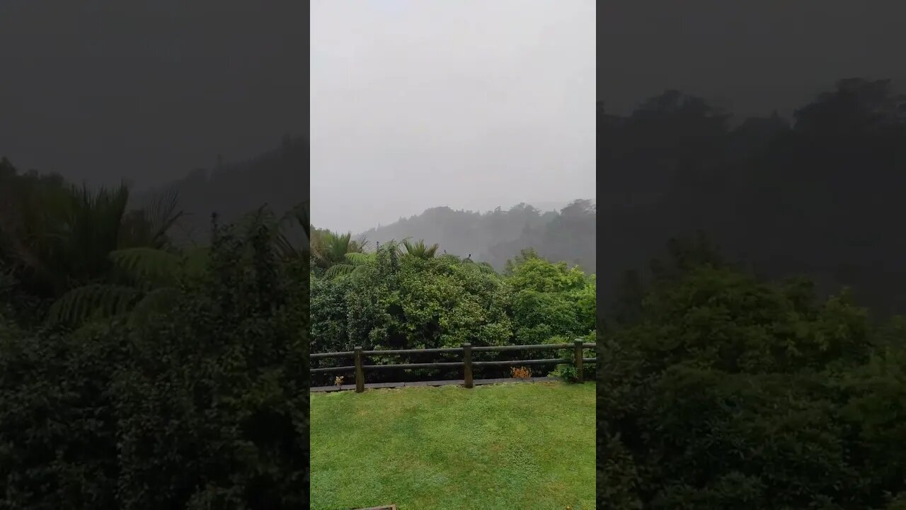 Waitakere Ranges from Waitakere Spa and Resort off Scenic Drive.