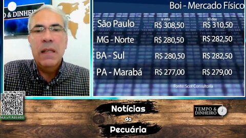 Boi gordo vira refém da safra e da China enquanto mira dia das mães