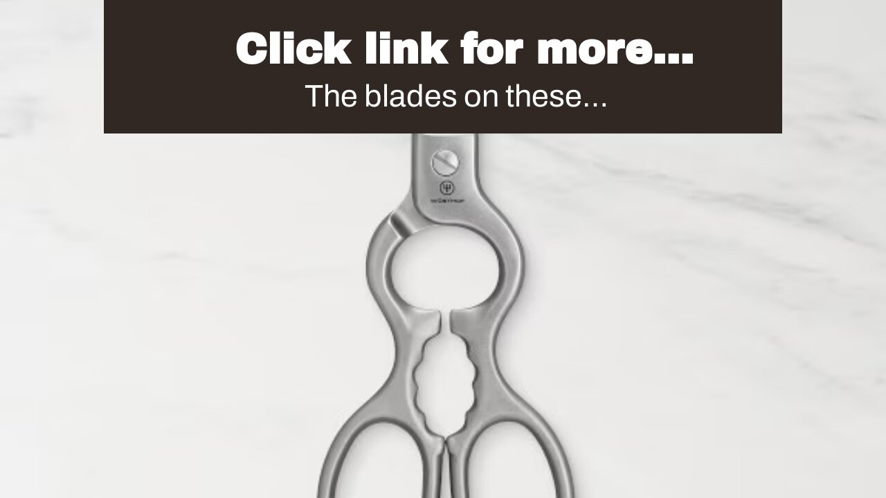 Click link for more information Updated 2023 Herb Scissors Set - Cool Kitchen Gadgets for Cutti...