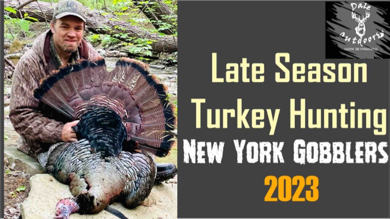 Hunting Spring Gobblers in NEW YORK/ Late season