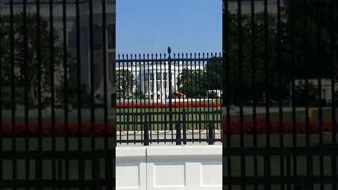 9/19/22 Nancy Drew-Video 2(11:15am)-South Lawn-Setting up for Lizard Fest(Queen Memorial Service)