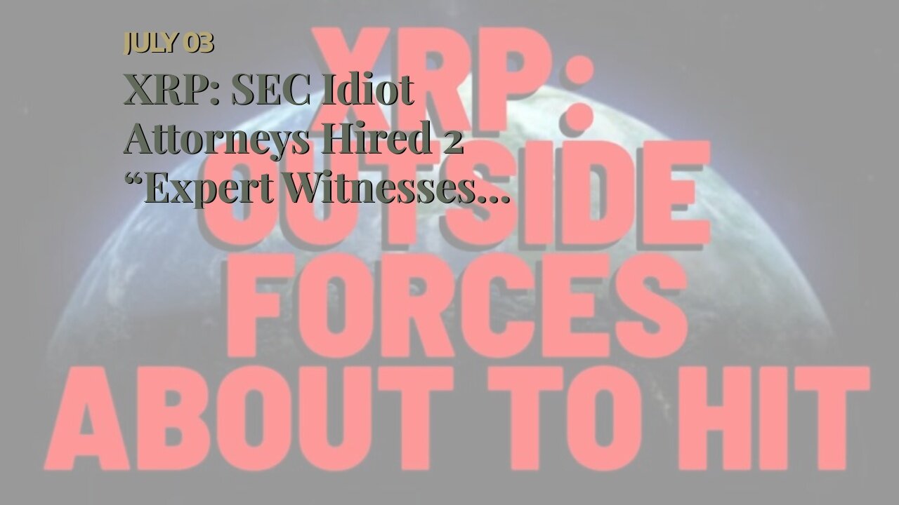 XRP: SEC Idiot Attorneys Hired 2 “Expert Witnesses” WHO DISAGREE WITH EACH OTHER
