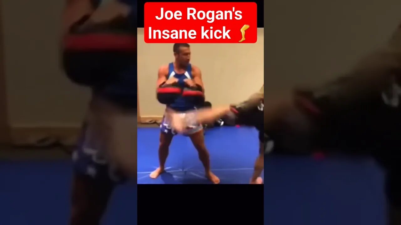 Joe's Insane kick 😮#jre #mma #roganshorts