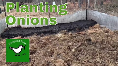 Planting Onions and Flipping the Beds over in the small garden
