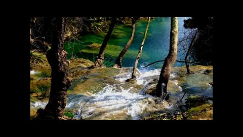 Full HD 2 HOURS Sound Forest Stream | Living Stream In The Forest