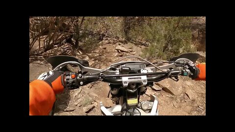 2021.5 GPX Moto TSE250R - Hitting some singletrack with @RideWithWill!